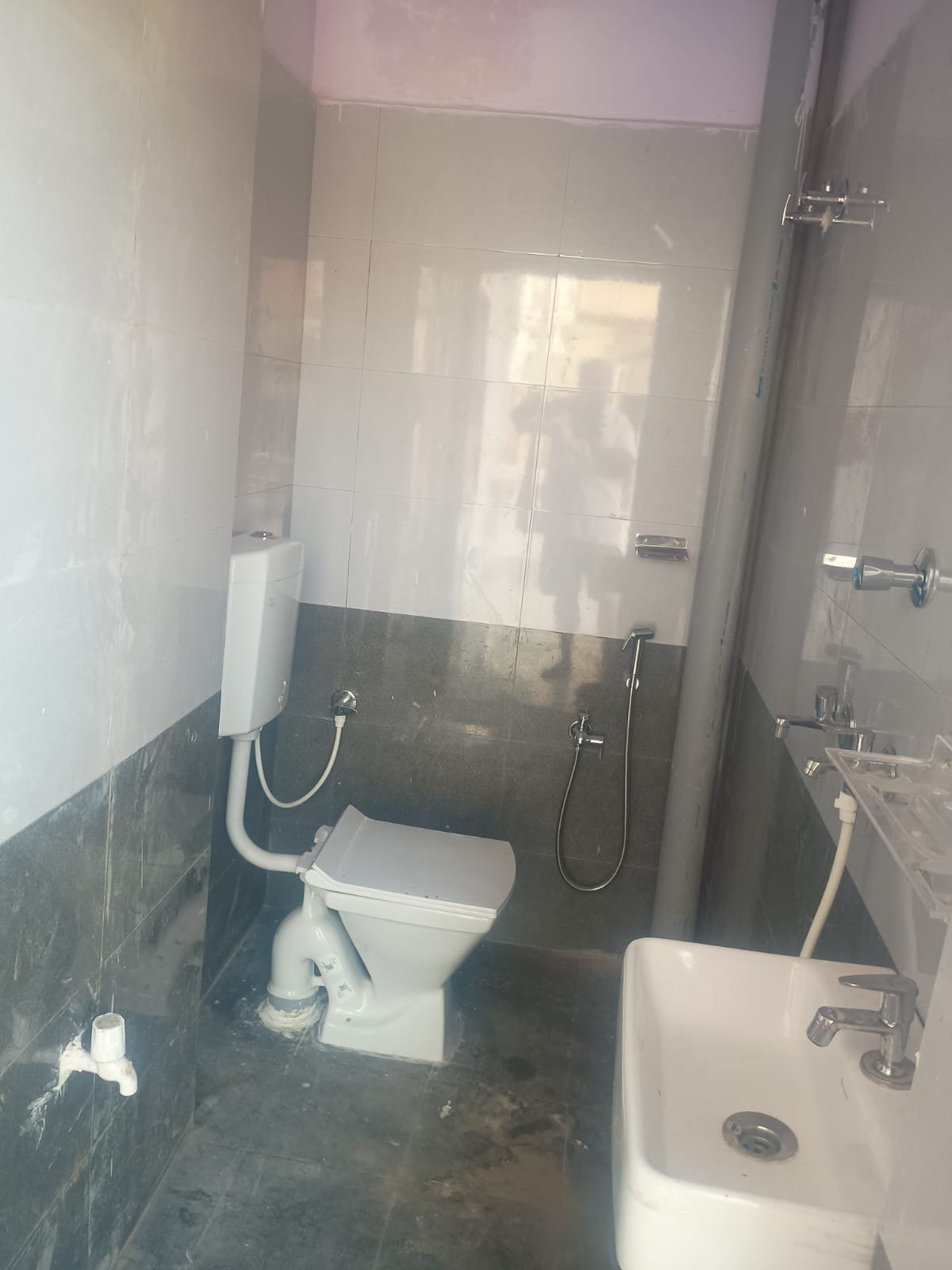 Flat/Apartment for Rent in Exhibition road