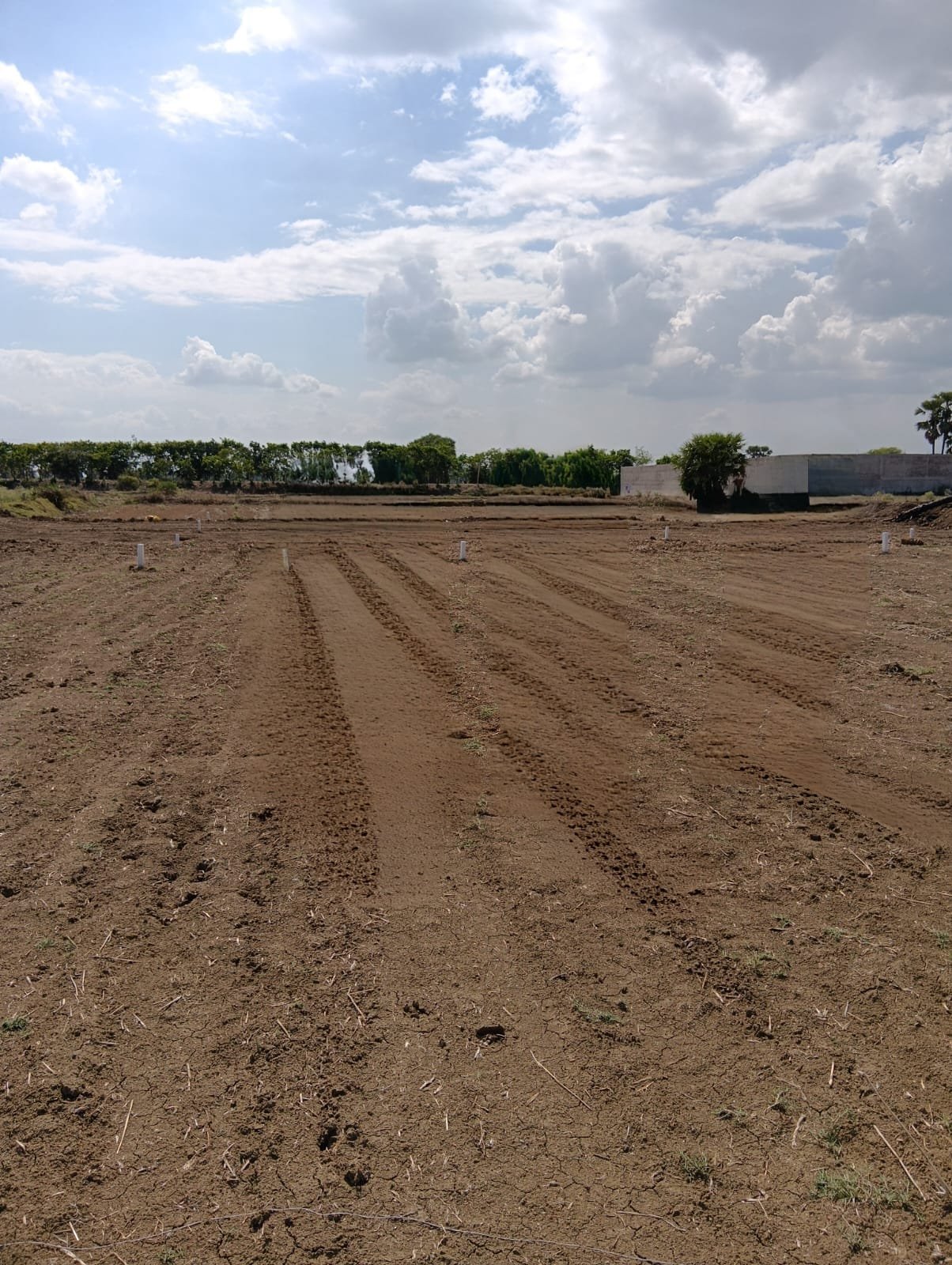 Plot/Land for Sale in Rajgir